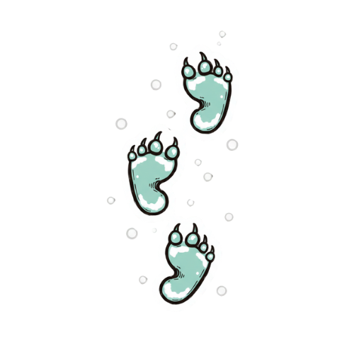 Paw Prints